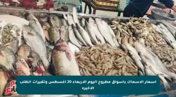 أسعار الأسماك بأسواق مطروح اليوم الأربعاء 20 أغسطس وتغيرات الطلب الأخيرة